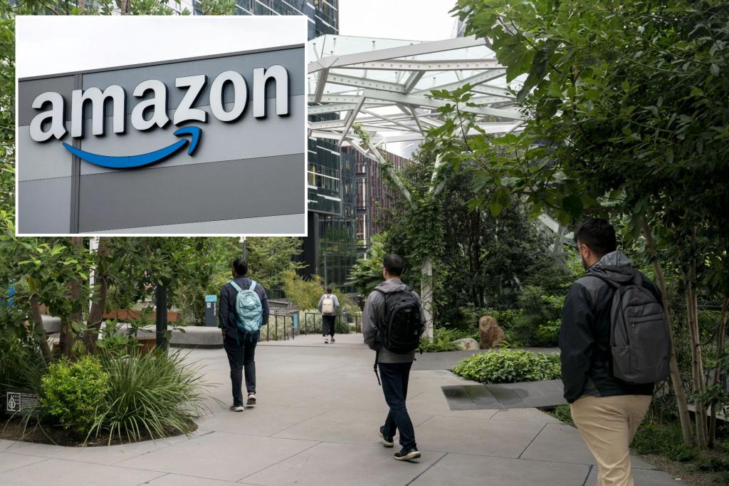 Amazon cuts reference to diversity from the annual report week after the end of Dei